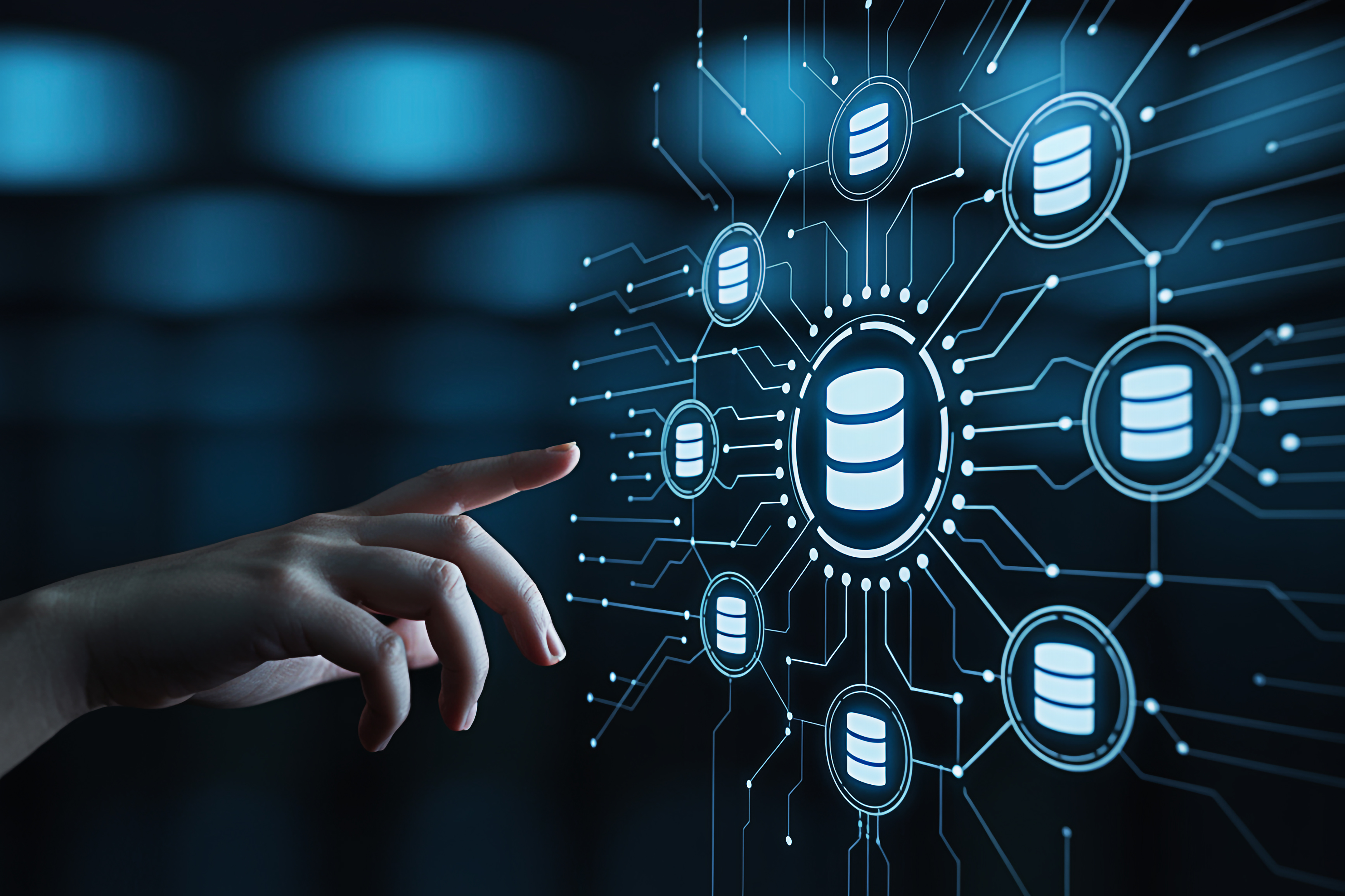 Database design and implementation network interface